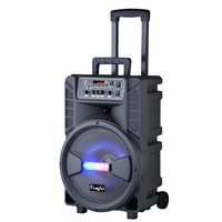 Enceinte portable sans fil rechargeable de 12 pouces avec éclairage LED RGB, prise en charge de la carte TF, woofer pour karaoké audio