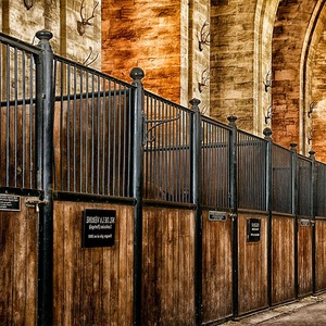 Elite Design Horse Stable para campeonatos de carreras y academias de rendimiento ecuestre con diversas opciones de estilo Stable - Product Image 6