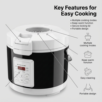 Cuisinière à riz électrique portable 12V/24V 3L, minuterie numérique et maintien au chaud, pour voiture, camion, camping-car, camping en plein air (certifié CE)