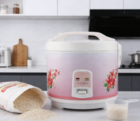 Autocuiseur de riz électrique intelligent à commande numérique automatique, avec boîtier en fer, cuisson rapide, tasse doseuse, vente en gros directe usine