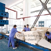 Pâte à papier de qualité supérieure, éther de cellulose de linters de coton, nitrocellulose, pâte vierge, rayonne cuprammonium, pâte écologique biologique