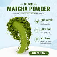 Sachets de poudre de matcha en vrac de qualité supérieure, sachets de thé instantané santé OEM, marque privée