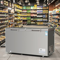 Refroidisseur de Boissons à Porte Unique de 1,45 m et Double Température R290, avec Congélateur à Support Métallique Supérieur pour la Congélation Profonde et le Stockage de Glace