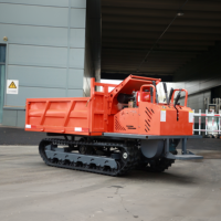 Minipala Cingolata da 2 Tonnellate con Motore Diesel e Sistema Idraulico per Uso Agricolo, Paddy e Fattorie, con Elevato Momento di Carico - Produzione Cinese