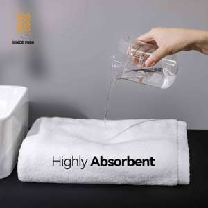 Bán Buôn Sang Trọng 500gsm Bông Khăn Tay Trắng <span class=keywords><strong>Terry</strong></span> Khăn Nhanh Chóng-Khô Rắn Màu Dệt Biểu Tượng Tùy Chỉnh 5 Sao Khách Sạn Chất Lượng - Product Image 5
