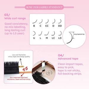 Vassoi ciglia vegano in plastica rosa personalizzati visoni in velluto seta scura vassoi ciglia 0.07 D Curl Cashmere extension ciglia morbide con <span class=keywords><strong>Base</strong></span> allentata - Product Image 4