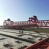 Grúa pórtico de lanzamiento de vigas prefabricadas de doble viga de 50-900 toneladas para construcción de autopistas y ferrocarriles, CE ISO, personalizada