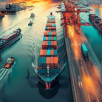 DDu transporteur aérien porte à porte de shenzhen meilleurs services express DHL UPS Fedex aux pays-bas maroc nouvelle-zélande