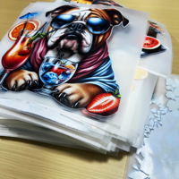 Feuilles de transfert DTF personnalisées conceptions d'impression de t-shirts étanches avec impression par transfert plastisol de vêtements en vinyle thermocollant