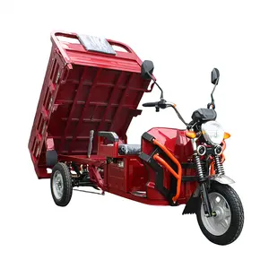 3 Wheel Adult 2 Seat Electric Tricycle For Cargo 2000w Electric Tricycle 3 Wheel Motorcycle Gomas 13 O14 Open 501 - 800W