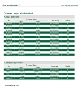 Précision 0,05% Personnalisable Haute précision Instrument de mesure Affichage LCD 304SS Manomètre numérique - Product Image 6