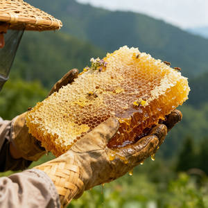 मधुमक्खी फार्म के 100% प्राकृतिक कच्चे जंगल का फूल मधुकंघी 100% शुद्ध शहद ग्रेड s 80% ब्रिक्स 0.5 किलोग्राम - Product Image 5