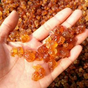 ب. ج. ي. توريد الصمغ العربي Talah صمغ عربي حشاب بيع بالجملة أفضل الأسعار - Product Image 3