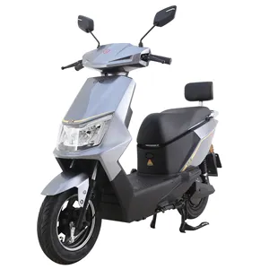 Tailg Best Quality Price 1000W Self-balancing Mobility Scooter Motorcycle 2 Seater Electric Adult Motorcycle