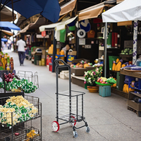Chine Vente en gros Aluminium Pliable Mart Shopping Légumes Chariot Mobile Pliant Shopping Main Chariots pour Personnes Âgées