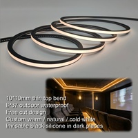 Bande lumineuse LED noire 10*10mm DC24V, néon flexible haute efficacité IP67, étanche pour extérieur, silicone noir pour bars/cinémas/vente au détail