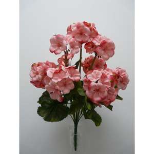 GERANEO BUSH X9 47CM PK C/VASO - Product Image 1