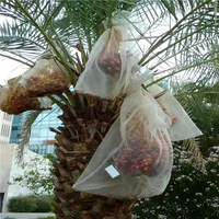 Oem Wit En Zwart Plastic Dadelpalm Netto Kleur Aanpasbaar Voor Fruitbescherming Tegen Stofvogels Voor Dadelpalm