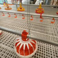 Système d'alimentation automatique pour élevages de poulets de chair avec mangeoire à plateau – Fabricant direct usine – Équipement complet d'alimentation pour poulets