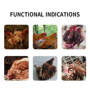 Хороший эффект лечения кокцидиоза эффективен в течение 3 дней кормовая добавка без побочных эффектов терапевтические продукты - Product Image 3