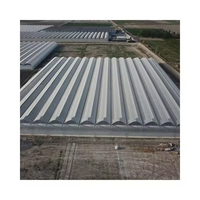 Serre de jardin populaire 40x100 en acier galvanisé avec film PE agricole – Grande serre polyvalente en promotion