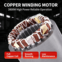 Moteur vibrant triphasé réglable 240 V 3000 tr/min, moteurs vibrants 3000 tr/min pour machine à briques et machine de remplissage