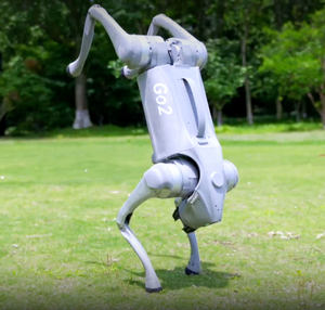 มีสินค้าในสต็อก 2025 หุ่นยนต์สุนัข Unitree Go2 Air ขายดี |   หุ่นยนต์สี่ขาสำหรับผู้ใหญ่ที่มีปัญญาประดิษฐ์ในตัวสำหรับการลาดตระเวน - Product Image 1