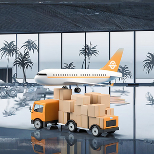 Spedizioniere DDP dalla Cina a USA, UE, Regno Unito, Brasile, Trasporto Aereo LCL, Trasporto su Strada, Listino Prezzi Trasparente Fornito - Product Image 5