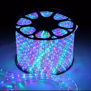 LED Strip Lights 5050 type 16.4ft, RGB Color Changing LED Lights with IR Remote Control