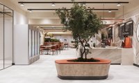 Aménagement de magasin de café de luxe pour la décoration intérieure de petites cafés, design de comptoir en bois pour café