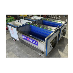 In Stock Electric Stainless Steel Cassava Washing and Peeling Machine - Product Image 4