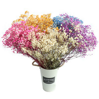 Bouquet de Gypsophile Multicolore en Gros, Fleurs Séchées Décoratives, Fleurs Artificielles, Décoration d'Intérieur, Cadeaux pour la Saint-Valentin