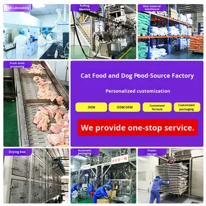 Fabricante de Ração para Cães Atacado Personalizado Universal Adulto Filhote <span class=keywords><strong>Golden</strong></span> <span class=keywords><strong>Retriever</strong></span> Teddy Terrier Cães Pequenos Sacos Grandes de 20kg - Product Image 1