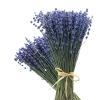 Bunga Lavender Ungu Kering dalam Bundel, Buket Lavender Awet, Dekorasi Vas Rumah untuk Hari Valentine, Kerajinan Aromaterapi, Pewangi