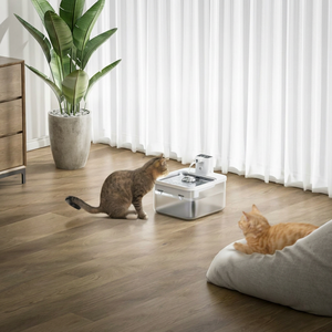 Fontaine à eau automatique pour animaux de compagnie DowryPaws FurSink, fonctionnant sur piles, portable, en plastique transparent, distributeur d'eau pour chat, utilisation en intérieur - Product Image 1
