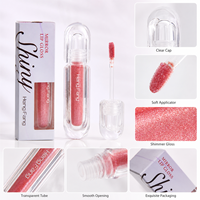Vente en gros de rouge à lèvres longue tenue, gloss liquide cosmétique, stick brillant, gloss scintillant, gloss transparent, gloss personnalisé OEM ODM