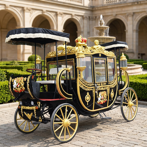 Calèche royale électrique de luxe à double rangée, personnalisée sur mesure, prix d'usine - Product Image 1