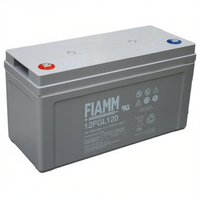 Baterai Asam Timbal VRLA Isi Ulang Fiamm FGLI12FGL120 12V 120Ah untuk UPS Buatan Italia