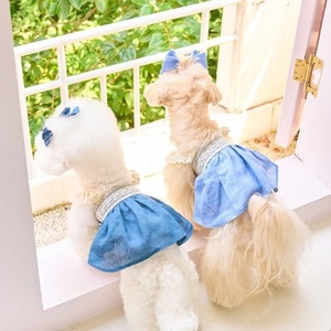 Blue Lace Trim Dog Dress with Bow Hairpin Set Breathable Pet Sundress for Small Dogs Bichon <strong>Maltese</strong> - Product Image 4