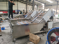 Chine Machine à laver les légumes feuille d'olivier pour fruits dattes fruits Orange mangue fraise Machine de nettoyage