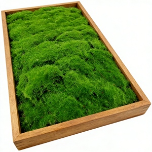 Mousse Artificielle Haut <span class=keywords><strong>de</strong></span> Gamme Effet Naturel pour <span class=keywords><strong>Jardin</strong></span> Extérieur – Vente Flash - Product Image 2