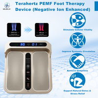 Appareil de massage des pieds à ions négatifs Tera P90 PEMF, machine de soins de santé Terahertz DY-FM03plus