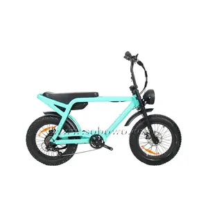 SOBOWO BAFANG rétro ebike longue portée 48v 250 750 watt cargo ebike 2 roues gros vélo électrique 14ah x 2 famille e-cargo pour la livraison