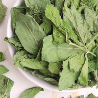 Thé aux feuilles de menthe poivrée (Mentha Piperita) |   Thé à la menthe |   En vrac