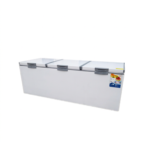 Congélateur coffre solaire commercial à porte unique pour la conservation de viande et de fruits de mer à domicile, certifié CE, garantie 2 ans - Product Image 1