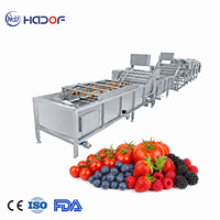 Chaîne de lavage et de séchage pour tomates cerises, machine de nettoyage à bulles, de tri et d'essorage pour petits fruits