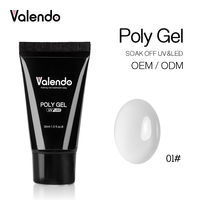 Kit d'extension d'ongles en acrylique professionnel – Fournitures transparentes pour polygel, vernis acrylique, marque privée