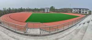 Pista de Atletismo Prefabricada INOLP de Nuevo Diseño para Todo Clima, Pista de Correr de Caucho Sintético, Pista de Fútbol Prefabricada de 10 mm de Espesor - Product Image 6