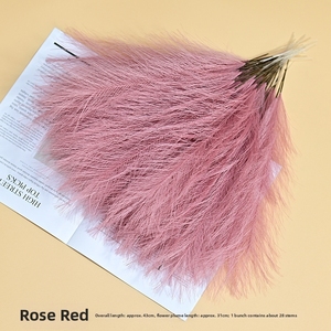 G213 Herbe de la <span class=keywords><strong>Pampa</strong></span> Artificielle Légère et Moelleuse Effet Roseau 43cm pour Remplissage de <span class=keywords><strong>Vase</strong></span>, Décoration Bohème pour la Maison, Composition Florale - Product Image 5