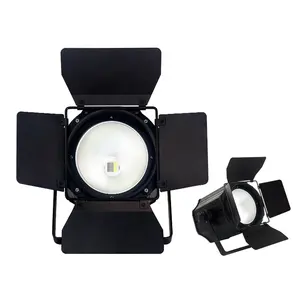 Fabrication professionnelle de lumières de scène 200w Cob Par lumière Led pour spectacle église KTV mariage